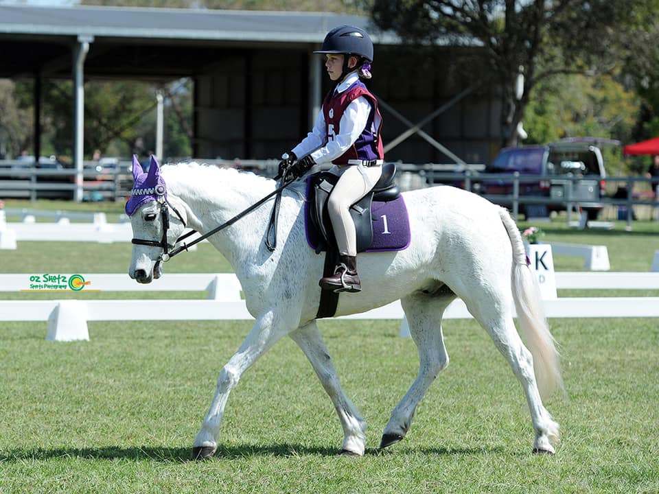 Competition States Dressage 2021